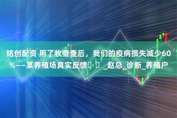 铭创配资 用了牧查查后，我们的疫病损失减少60%——某养殖场真实反馈​​_赵总_诊断_养殖户